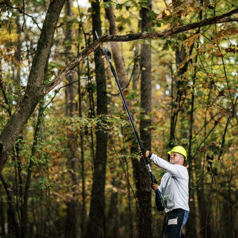 Greenworks 82V OPTIMUS 10" Polesaw Carbon Fibre Telescoping