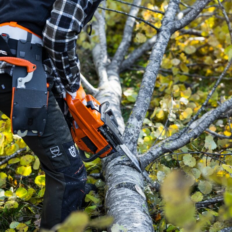 Husqvarna 445S Chainsaw
